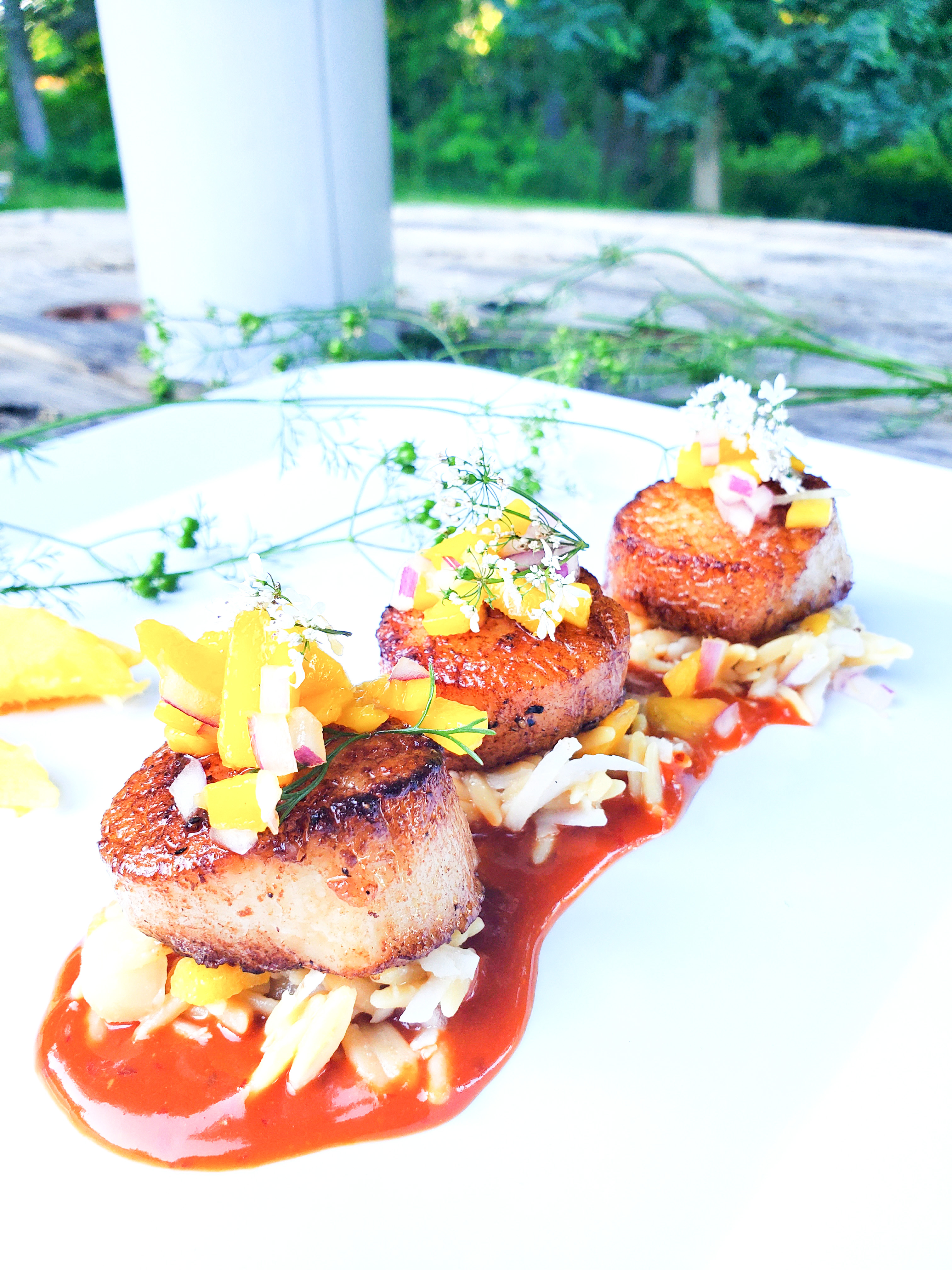 Seared scallops with Guajillo Mango Sauce