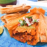 Freshly made Red Chili Tamales are tender and flavorful with diced radish and cilantro