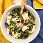 Farro Apple Pecan Salad is hearty and flavorful with celery, craisins, red onion and parmesan in an apple vinaigrette dressing.