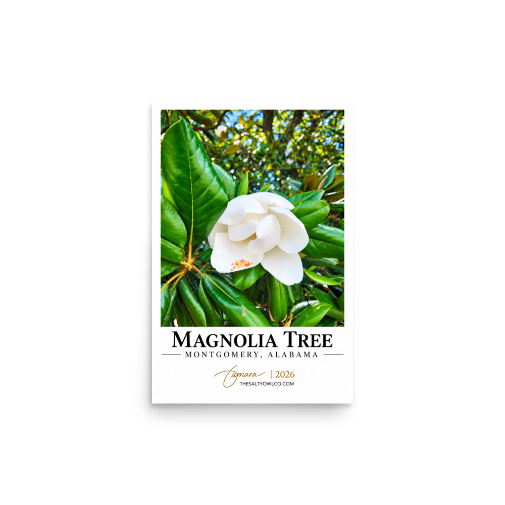 Magnolia Tree - Montgomery Travel Print
